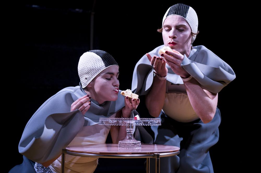 PINGUINE KÖNNEN KEINEN KÄSEKUCHEN BACKEN