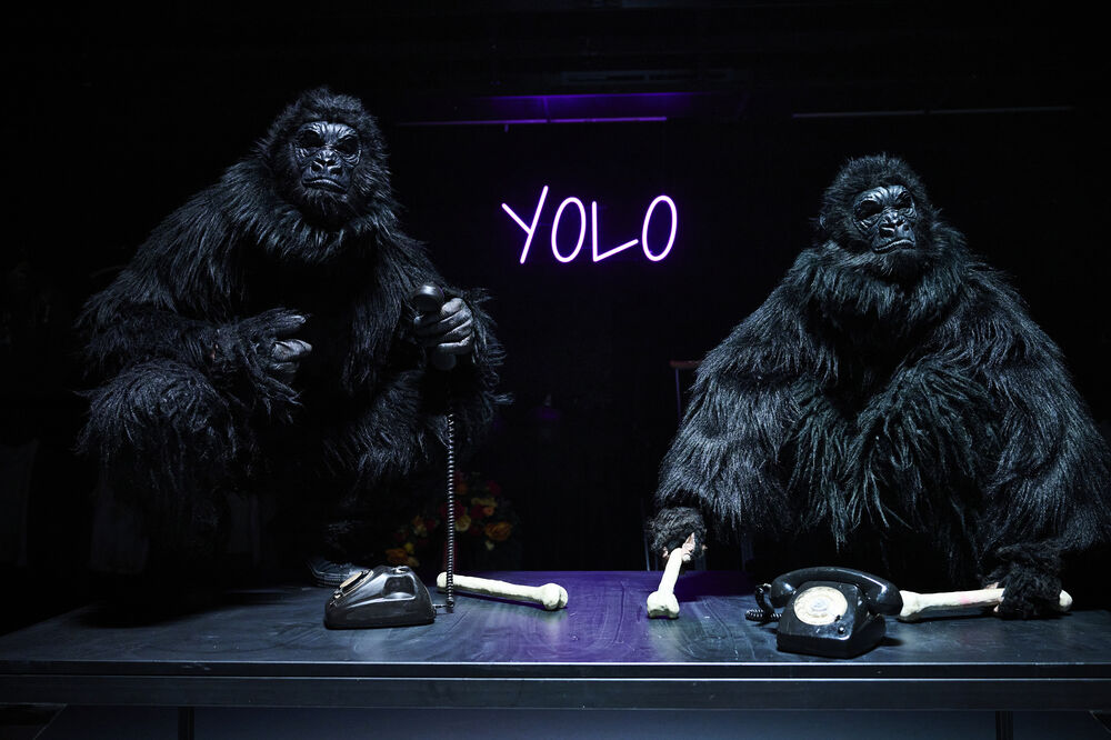 Jonas Julian Niemann &amp; Max Roenneberg